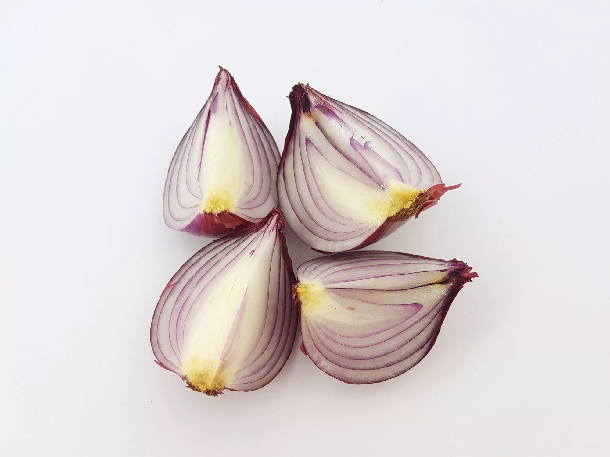Picture of four onions
